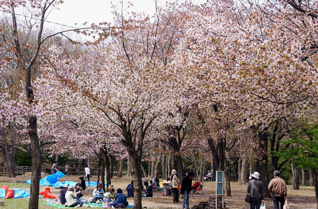 Maruyama Park