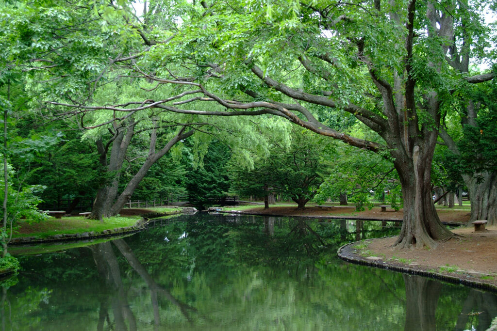 Maruyama Park