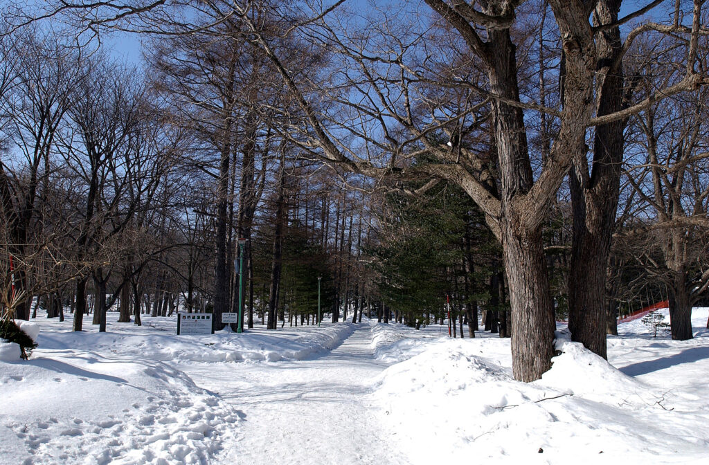 Maruyama Park