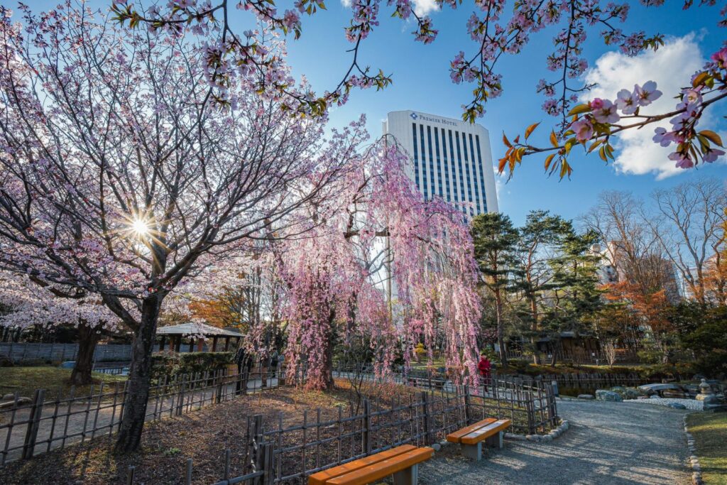 Nakajima Park